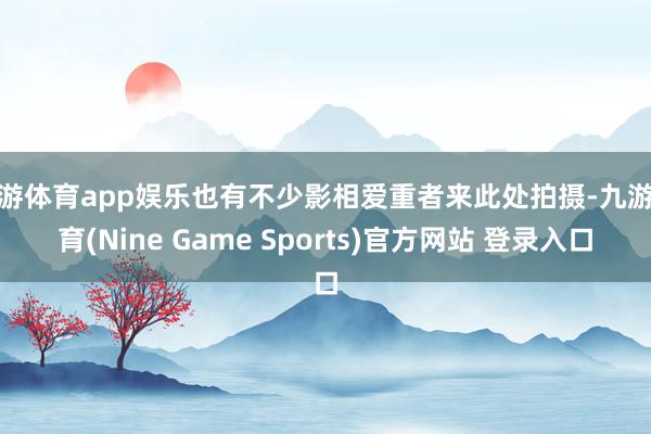 九游体育app娱乐也有不少影相爱重者来此处拍摄-九游体育(Nine Game Sports)官方网站 登录入口